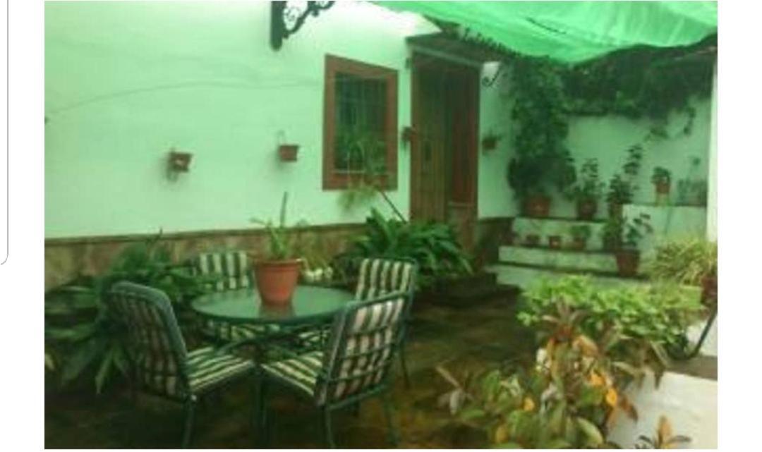 Apartamento En Cortijo Totalmente Reformado En Pleno Paraje Natural Junto Al Caminito Del Rey Y Los Sectores Mas Importantes De Escalada A Solo 2 Minutos De La Estacion De Tren アロラ エクステリア 写真